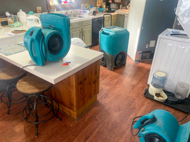 Best Basement water damage restoration  in Banner Hill, TN